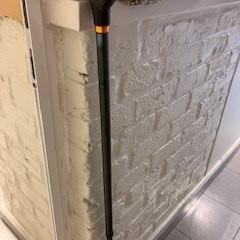 Wandelstok, amint azt Gemeente Zonhoven az iLost segítségével jelentette.