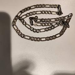 Collaret, segons ha informat Bibliotheek Neude (Utrecht) mitjançant iLost