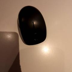 Mouse, as reported by Campus Den Haag using iLost