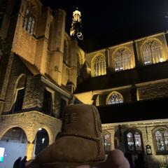 Ugg, som rapporterats till iLost