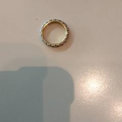 Ring, gemeldet von LUMC über iLost