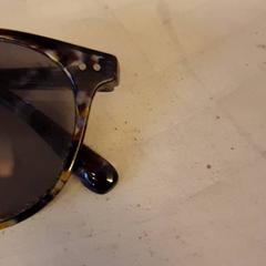 Solbriller, som rapportert av DierenPark Amersfoort ved bruk av iLost