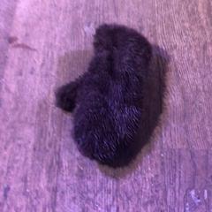 Handschoen handschoem, zoals gemeld door De Heeren van Aemstel met iLost