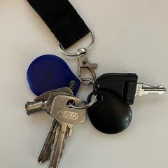 Sleutelbos, ha sido reportado a iLost