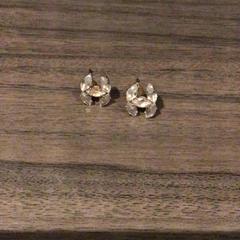 Oorbellen, zoals gemeld door Van der Valk Hotel Zwolle met iLost