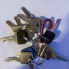 Sleutelbos, as reported to iLost