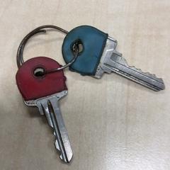 Schlüssel, gemeldet von Haaglanden Medisch Centrum über iLost