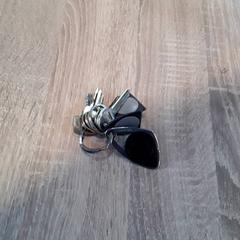 Sleutelbos, zoals gemeld door EBS Tramplein met iLost