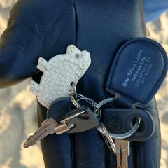 Sleutelbos, ha sido reportado a iLost