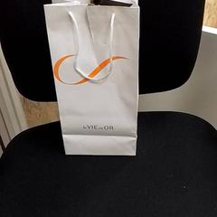 Väska, rapporterat av ilévia med iLost