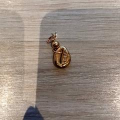 Pendente, segundo informou Van der Valk Hotel Vianen usando iLost