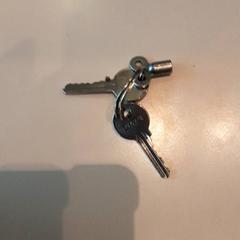 Nøkler, som rapportert av LUMC ved bruk av iLost