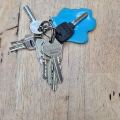 Sleutelbos 6 grote en 2 kleine sleutels, iLost를 사용하여 Gemeente Wageningen에 보고됨