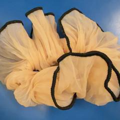 Scrunchie, segons ha informat IKEA福岡新宮 mitjançant iLost