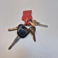 Keys, as reported by Gemeente Zutphen using iLost