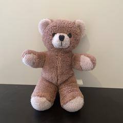 Knuffel Beer, som rapporterats till iLost