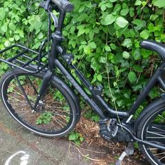 E bike, som rapporterats till iLost