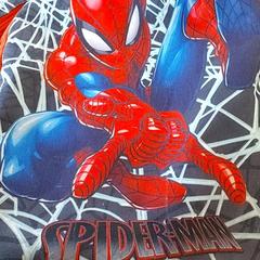 Rugzak - HAVANDD - Spiderman، كما تم الإبلاغ عنه بواسطة Centraal magazijn عبر iLost