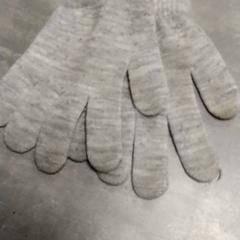 Guantes Grijs, ha sido reportado por Arriva Friesland / Groningen con iLost