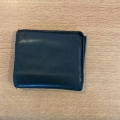 Portfel Wibing elias, zgłoszono przez Gemeente Amsterdam przy użyciu iLost