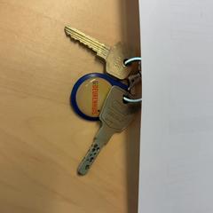 Sleutels, zoals gemeld door RET met iLost