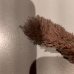 Plüss, amint azt De Efteling az iLost segítségével jelentette.