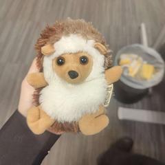 Jouet Egel knuffel, a été signalé par Pathé Zwolle utilisant iLost