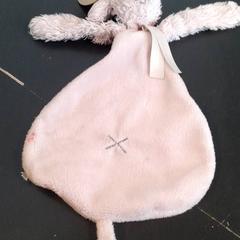 Spene Roze, rapporterat av Qbuzz servicepunt  Emmen med iLost