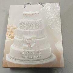 バッグ - papieren tas がiLostで Regio West-Vlaanderen によって報告されました