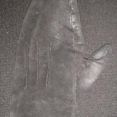 Mitten, as reported by TivoliVredenburg using iLost