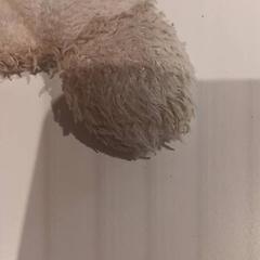 ぬいぐるみ がiLostで De Efteling によって報告されました