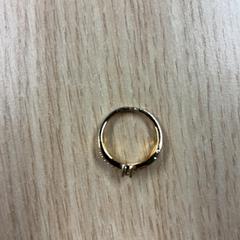 Prsteň Goud, ako bolo nahlásené Pathé Tilburg pomocou iLost