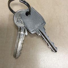 Nycklar, rapporterat av Haaglanden Medisch Centrum med iLost