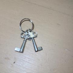 Clé Mini, a été signalé par Familie Resort Molenwaard utilisant iLost