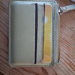 Wit leren pasjeshouder van Julia de Graaf a été signalé sur iLost