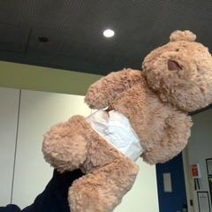 Oso de peluche, segundo informou MEININGER Hotel Lyon Centre Berthelot usando iLost