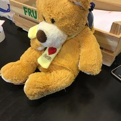 دمية دب، كما تم الإبلاغ عنه بواسطة Qbuzz U-OV عبر iLost