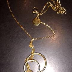 Collar, ha sido reportado por TivoliVredenburg con iLost