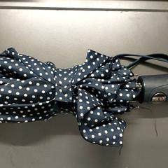 Umbrella, as reported by Regio Limburg - Leuven using iLost