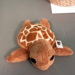 Knuffel, iLost를 사용하여 Diergaarde Blijdorp에 보고됨