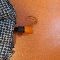 折り畳み傘 pied de poule noir et blanc がiLostで TCL によって報告されました