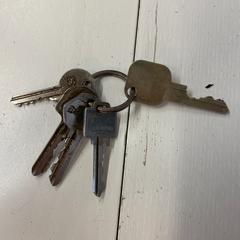 Sleutels, segons ha informat DGTL Amsterdam mitjançant iLost