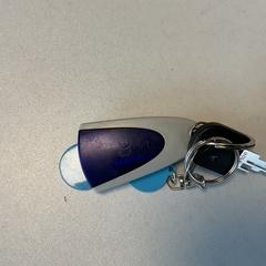 Kľúčenka, ako bolo nahlásené Breng Arnhem pomocou iLost