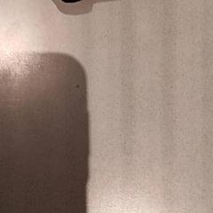 Jakke, som rapportert av De Efteling ved bruk av iLost