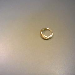 Bague, a été signalé par SnowWorld Landgraaf utilisant iLost