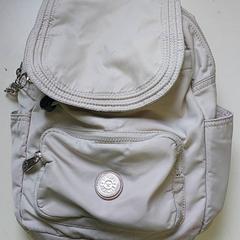 Rucksack, gemeldet von Regio Antwerpen - Brussel über iLost
