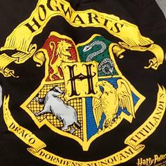 Turnpike-väska, rapporterat av Regio Antwerpen - Brussel med iLost