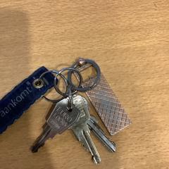 Chiavi, come riportato da Gemeente Amsterdam - Bureau Gevonden Voorwerpen utilizzando iLost