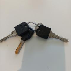 Sleutelbos, zoals gemeld door Arriva Limburg Zuid met iLost