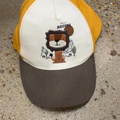 Cap Kinder pet, as reported by IKEA Utrecht using iLost